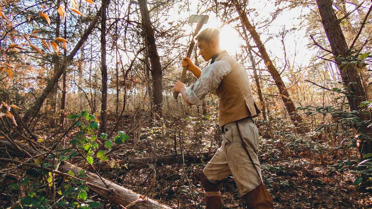 Tree Branch Trimming in Festus, MO